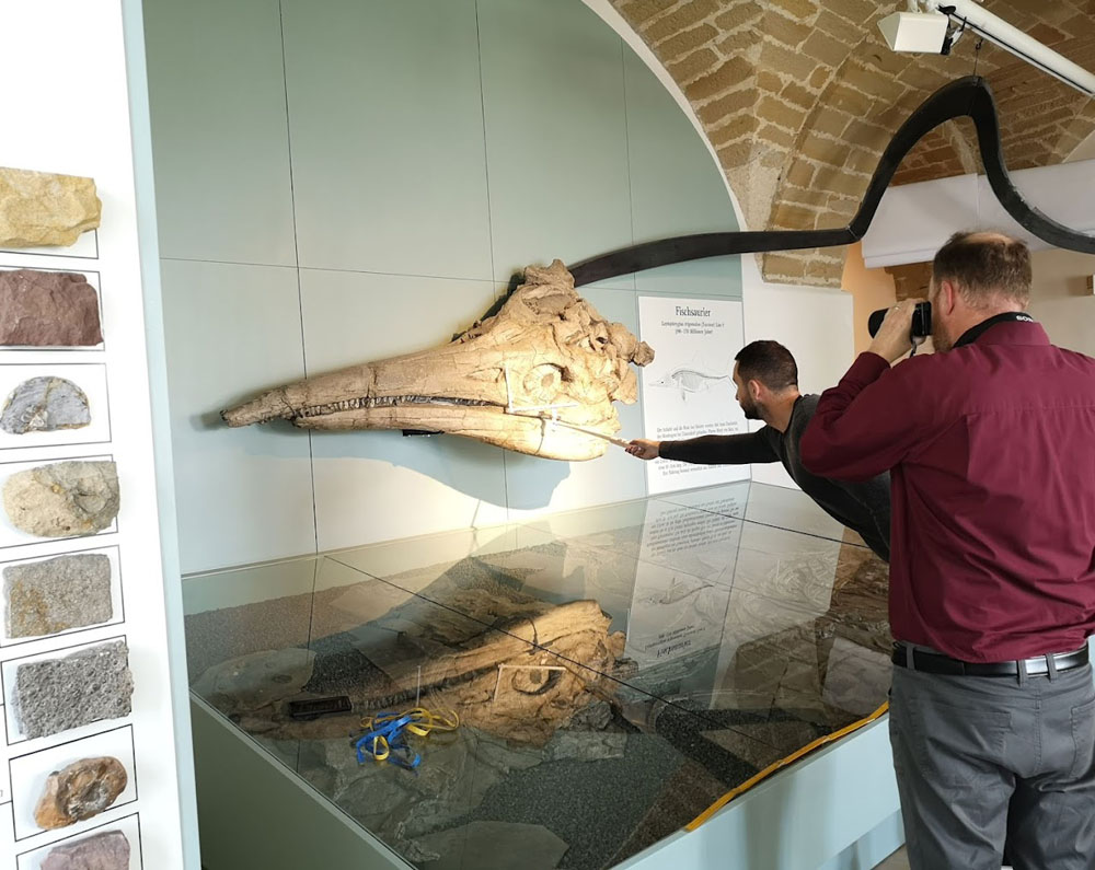 Dean Lomax und Sven Sachs untersuchen einen riesigen Temnodontosaurus-Schädel in Banz (Bayern)
