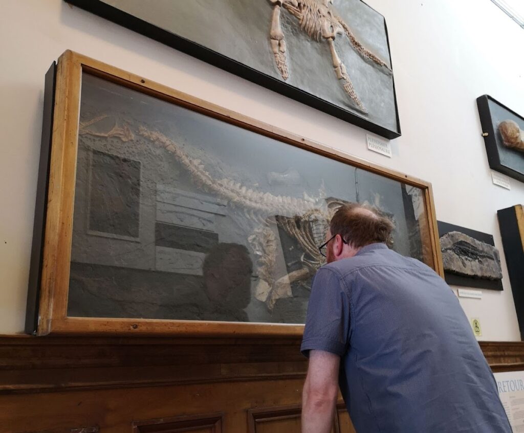Sven Sachs studiere ein Skelett von Thalassiodracon im Redpath Museum in Montreal.