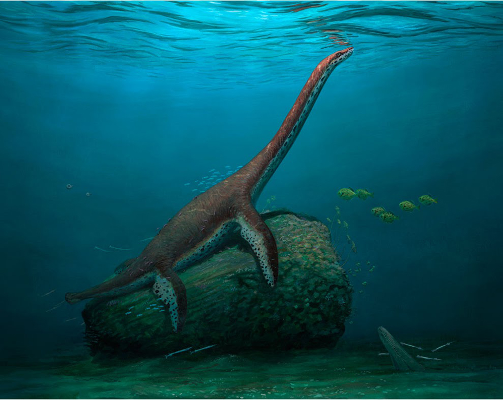 Lebensrekonstruktion von Franconiasaurus brevispinus von Joschua Knüppe